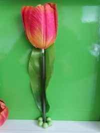 Bilderrahmen mit Vase und roter Tulpe 3