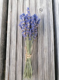 Getrockneter Lavendel, Blumenstrauß