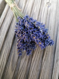 Getrockneter Lavendel, Blumenstrauß 2