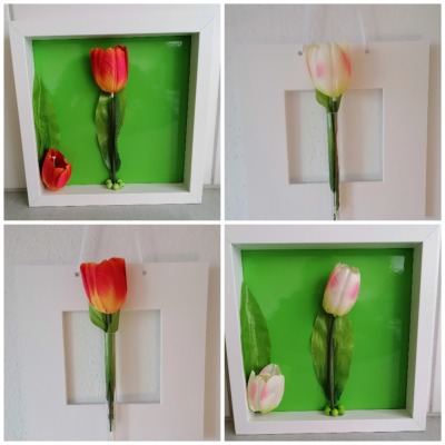 Bilderrahmen mit Vase und weißer Tulpe - Bilderrahmen mit Vase und weißer Tulpe