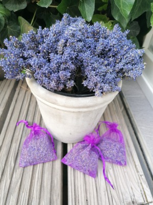 Trockenblumen Lavendelsäckchen - Trockenblumen Lavendelsäckchen