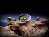 Außergewöhnlicher Upcycling Ring Lilie mit Messingstaubfüllung