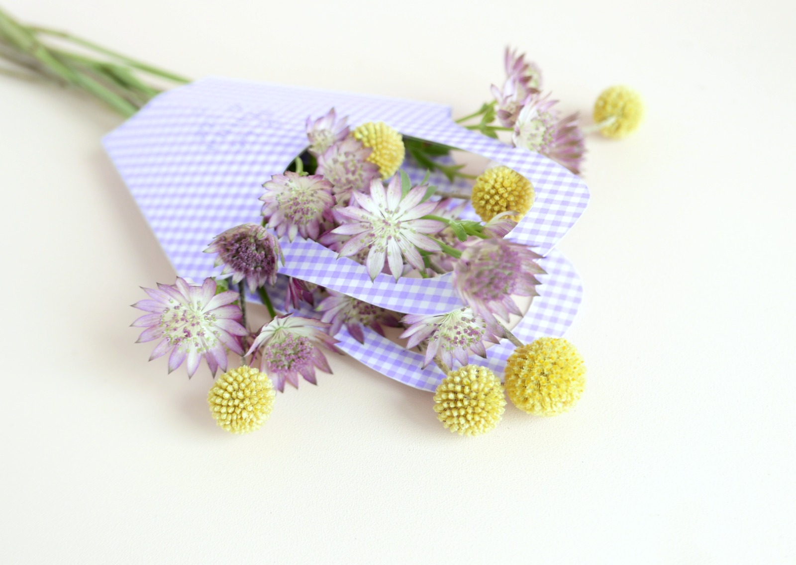 Paper Flower Bag - Verpackung für Topfpflanzen oder Blumen