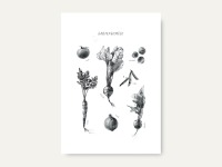 Küchenposter Gartengemüse 4