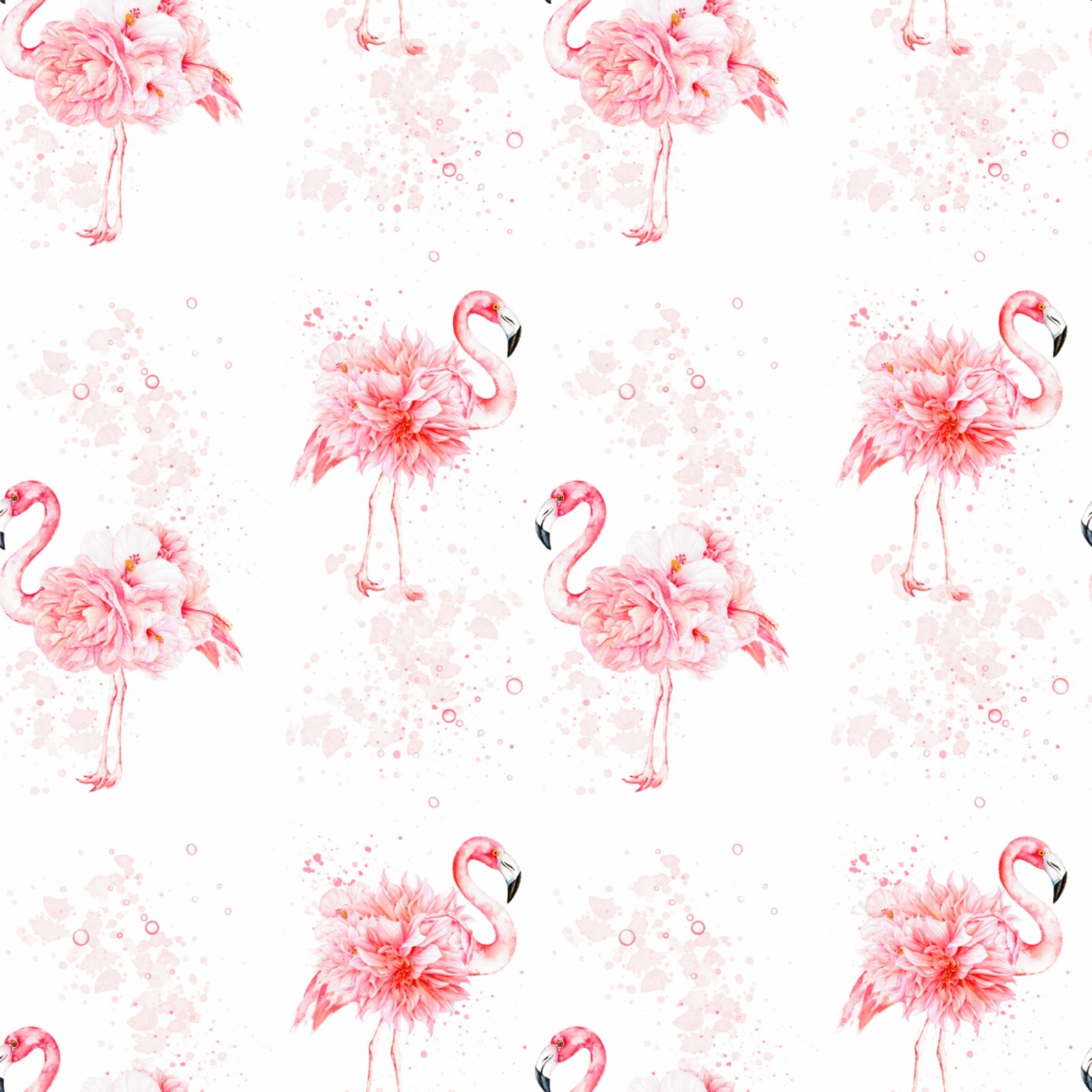 Flamingo 2