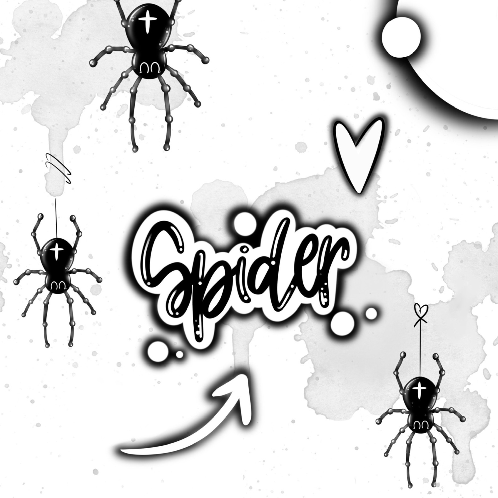 Spider