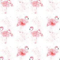 Flamingo 2