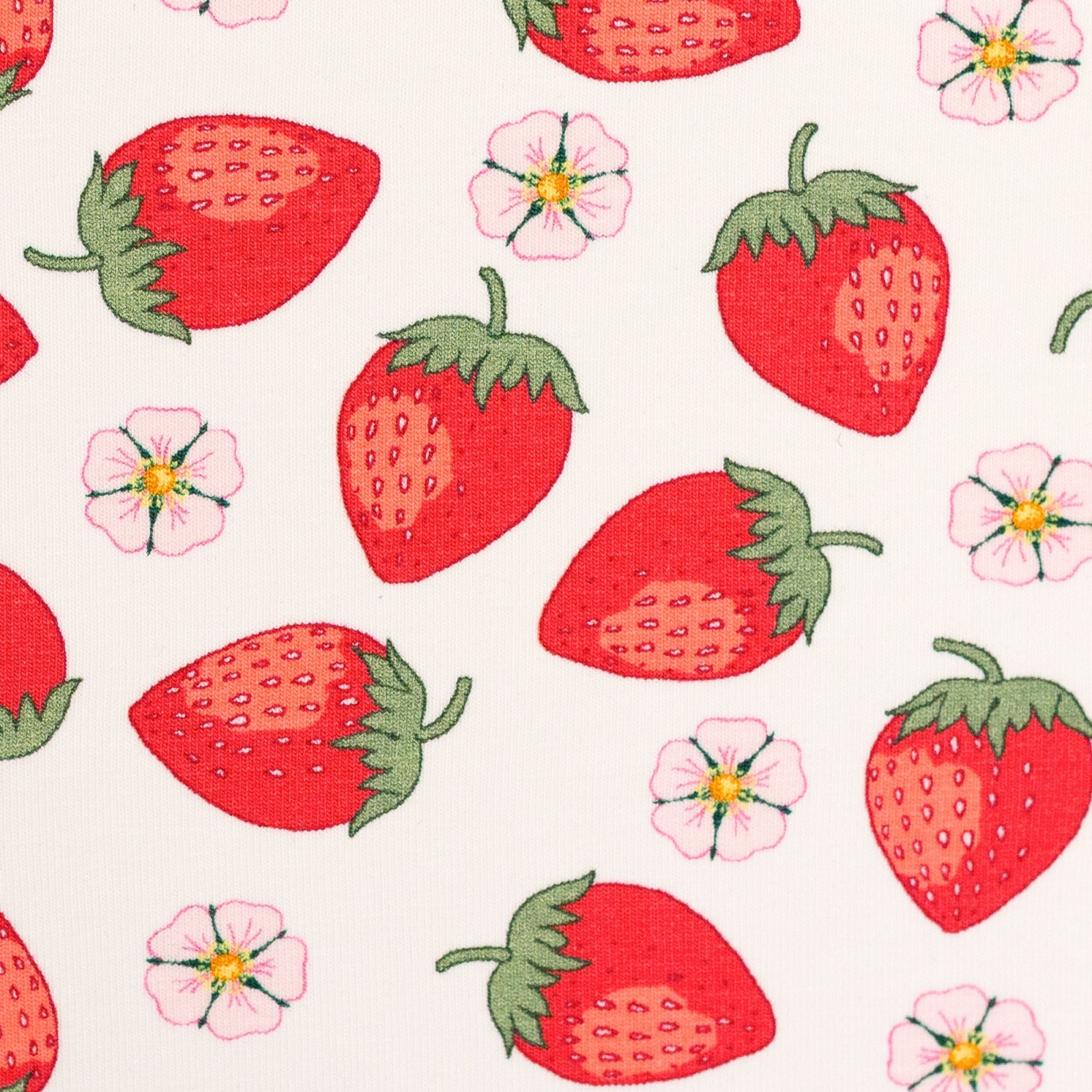 Baumwolljersey VINTAGE BOTANICAL | Erdbeeren, weiß
