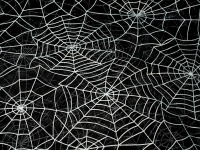 Feintüll | Spider Web | schwarz-silber | Halloween, Karneval | ab 0,5 m 2