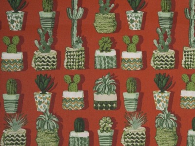 Beschichtete Baumwolle LEONA | Kakteen, Blumentöpfe | terracotta