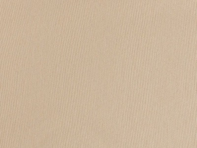 Dekostoff Ripsware Uni | CONNY | 280 cm breit | beige