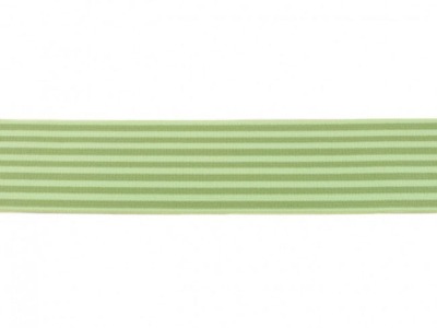 Gummiband Streifen | 40 mm | 2-farbig | lime
