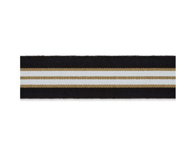 Ripsband Lurex 30 mm | schwarz-gold