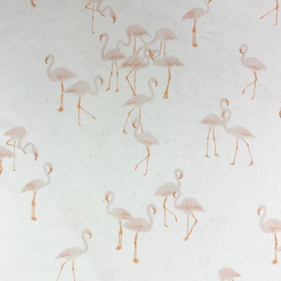Jersey - Flamingos