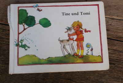 Bilderbuch Tine und Tomi Rudolf Arnold Verlag Leipzig 1977 DDR