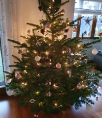 Natürliche Weihnachtsdeko - Zapfen als Weihnachtsbaumschmuck 11