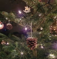 Natürliche Weihnachtsdeko - Zapfen als Weihnachtsbaumschmuck