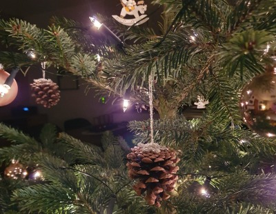 Natürliche Weihnachtsdeko - Zapfen als Weihnachtsbaumschmuck - Wähle deine Lieblingsfarbe und