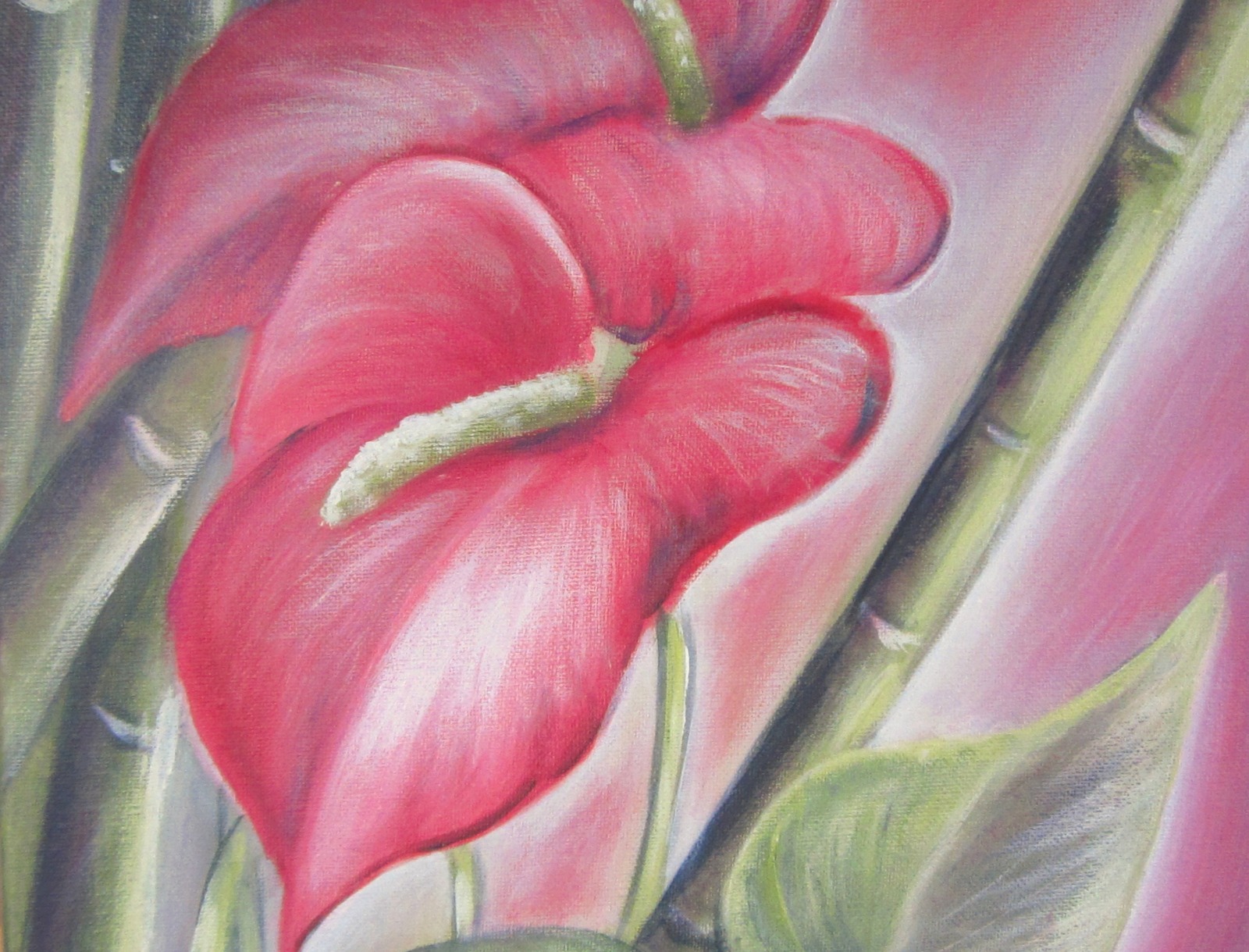 Exotische Flamingoblume - Kunst Anthurie Bild Deko Leinwand Kunstwerk Blume gemalt 30cmx70cm -