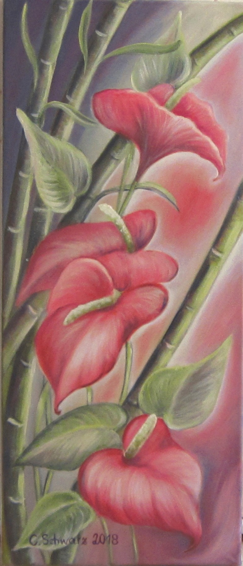 Exotische Flamingoblume - Kunst Anthurie Bild Deko Leinwand Kunstwerk Blume gemalt 30cmx70cm -