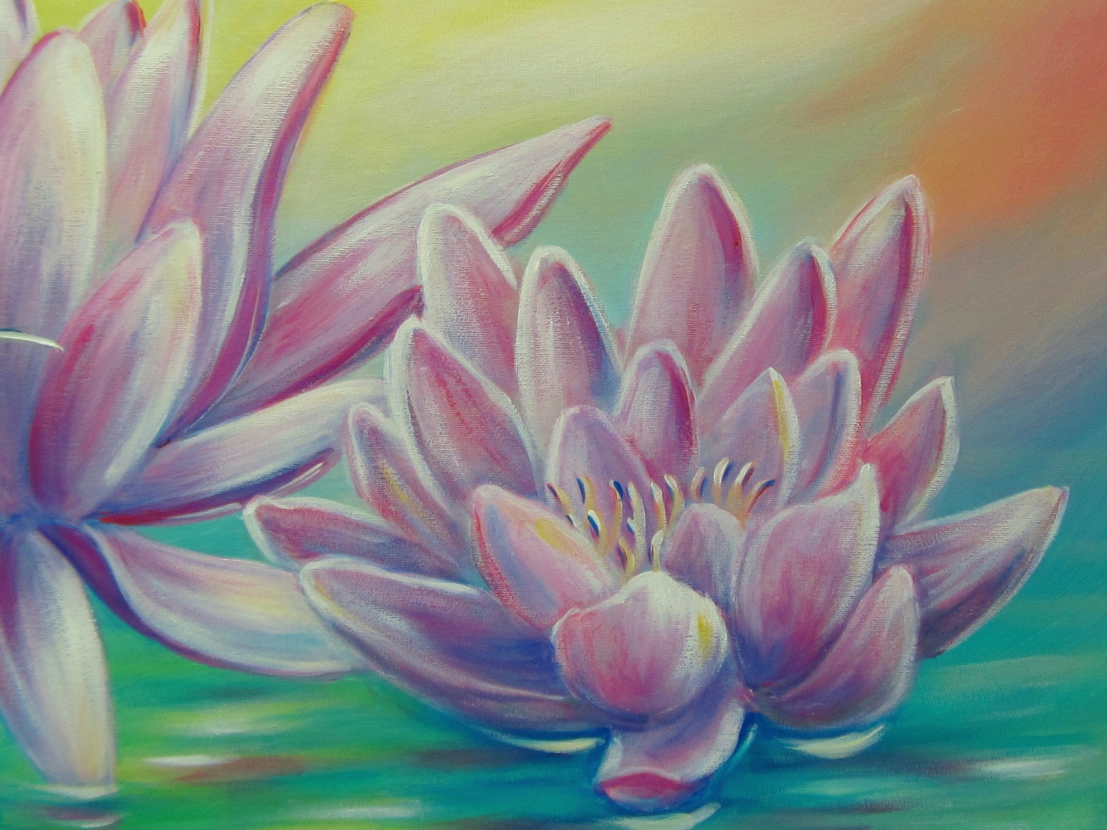 RAINBOW WATERLILIES - tolles Seerosenbild 80cmx60cm von der Künstlerin Christiane Schwarz aus