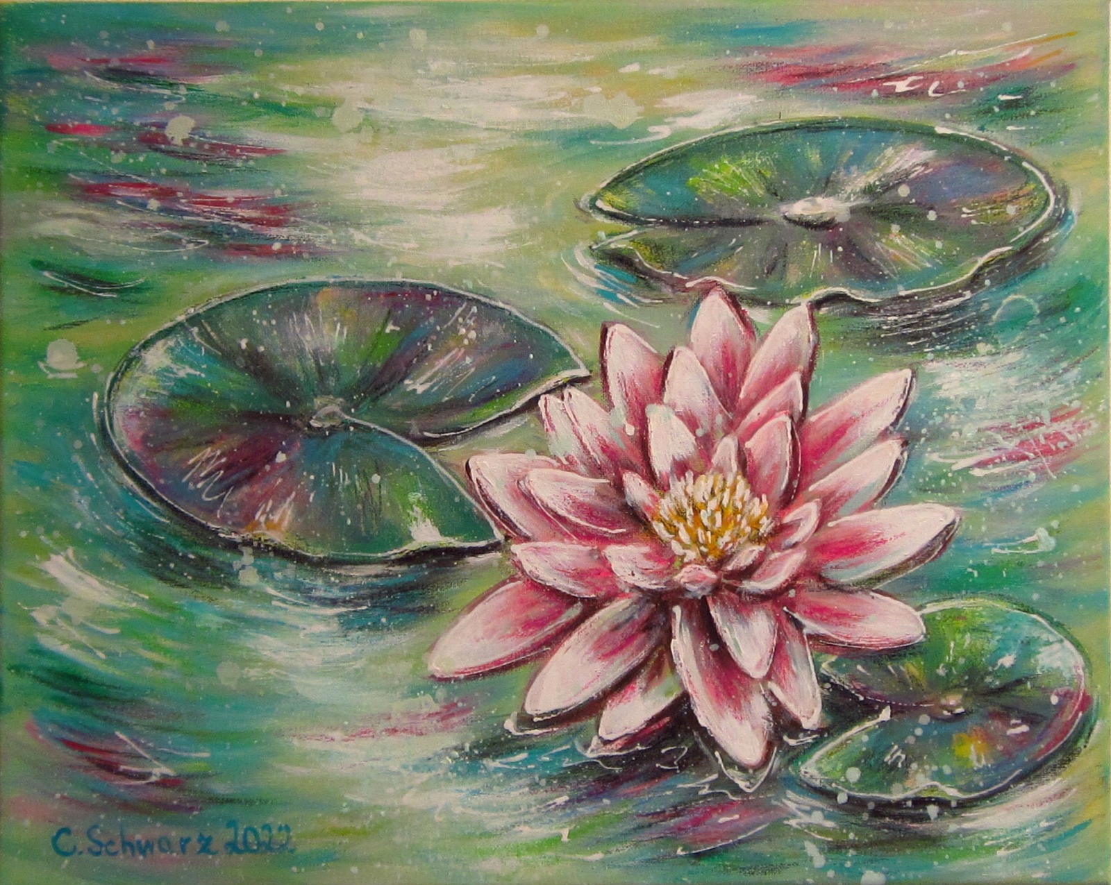 WEISSPINKE SEEROSE - hübsches Seerosenbild 50cm x 40cm, Künstlerin Christiane Schwarz