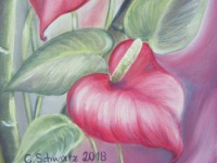 Exotische Flamingoblume - Kunst Anthurie Bild Deko Leinwand Kunstwerk Blume gemalt 30cmx70cm -