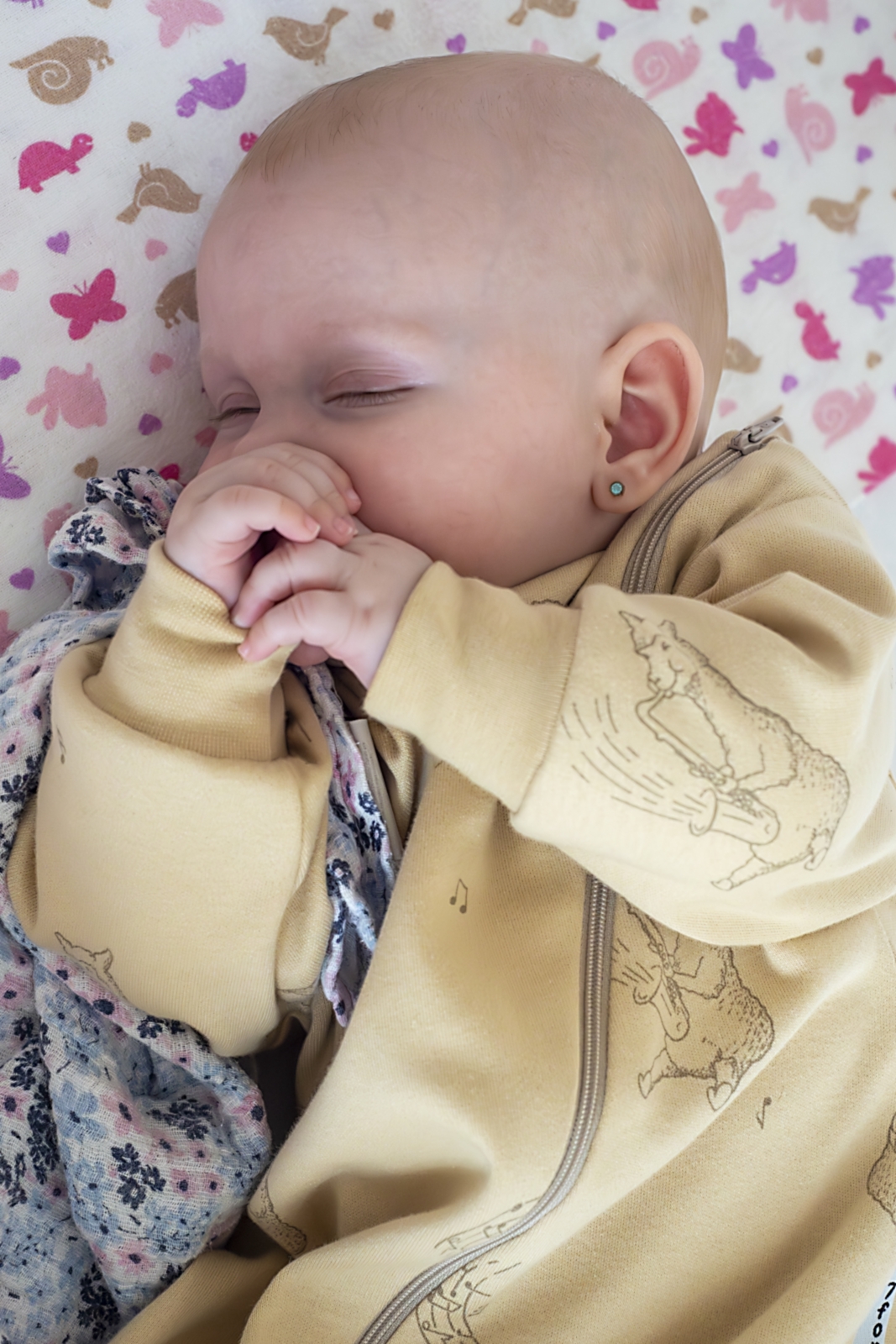 Schlafsack für Babys und Kleinkinder 10