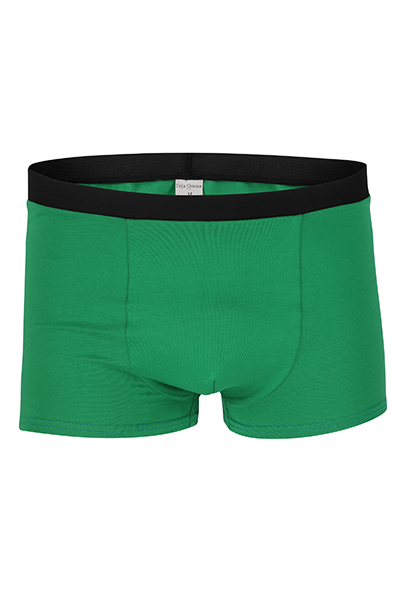Organic men s trunk boxer shorts, green