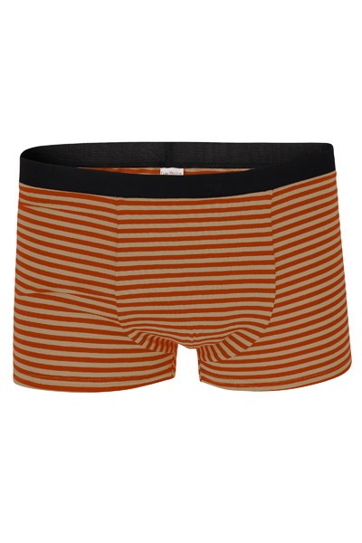 Bio Trunk Shorts sandy / rust stripes