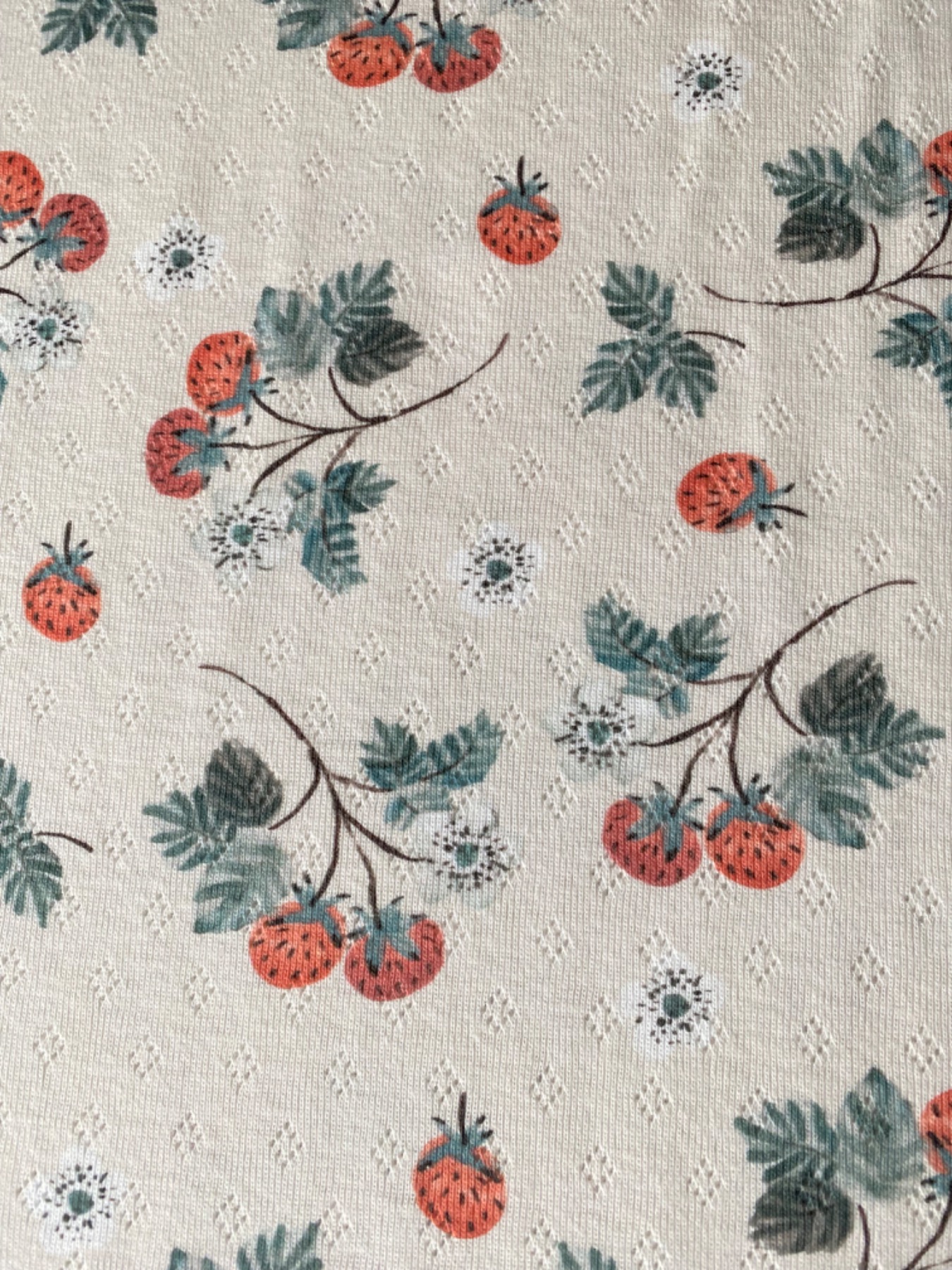 Jersey Pointelle Family Fabrics Erdbeeren 6