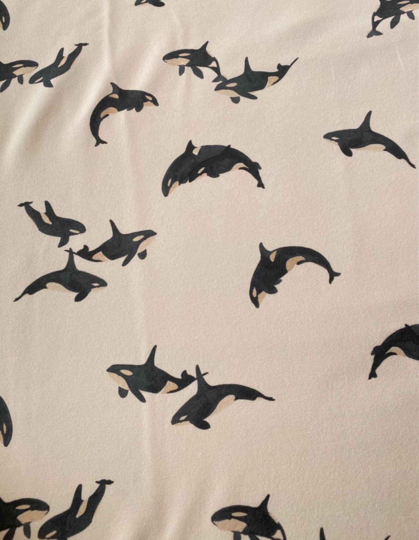 French Terry Orca sand Family Fabrics 5