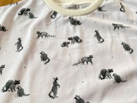 Tshirt Waschbär 5