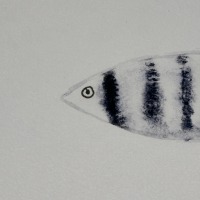 Striped Fish 2
