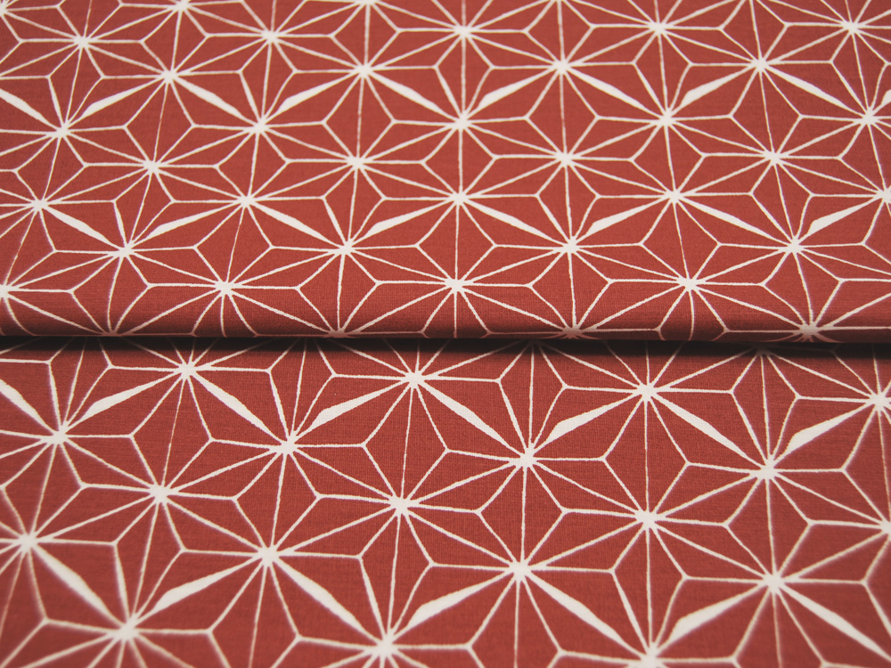 Beschichtete Baumwolle - ABSTRACT - Graphisches Muster auf Brick Red / Ziegelrot 0,5 m