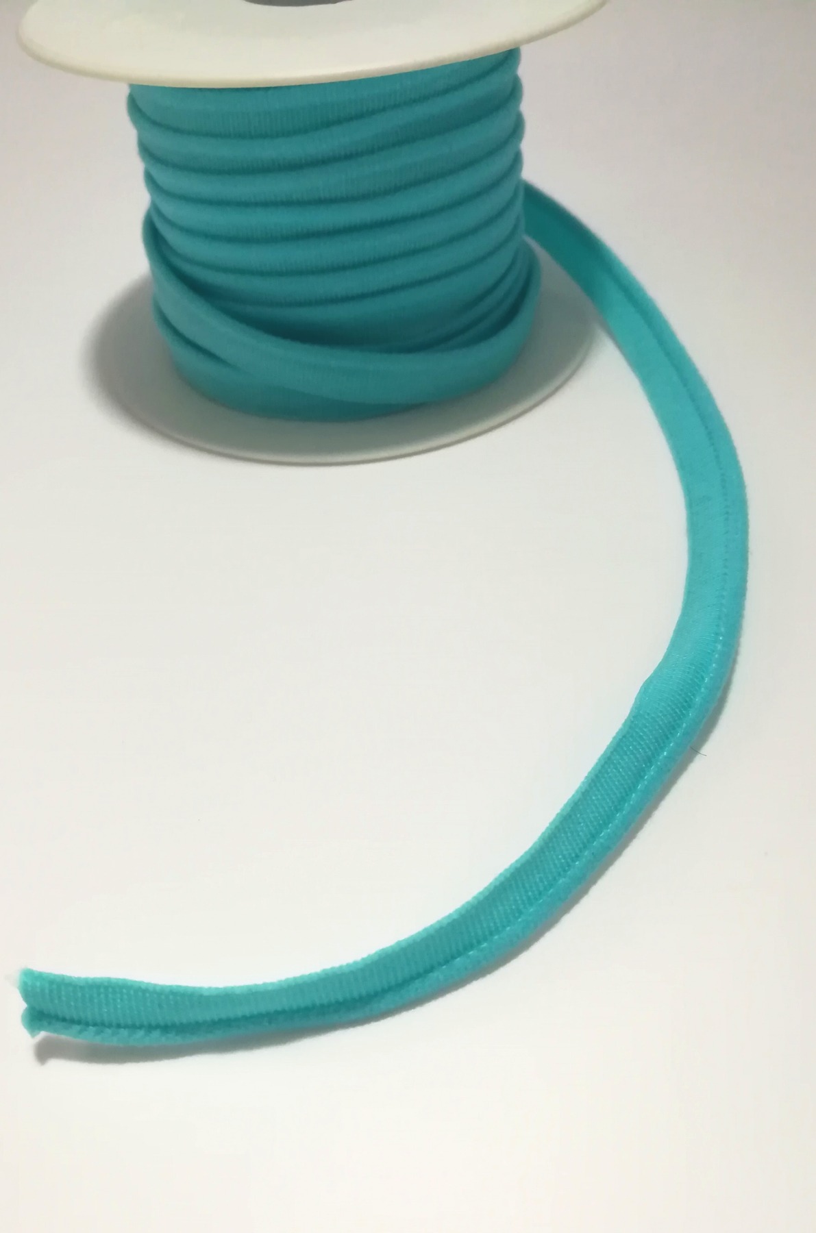 elastisches Paspelband 1 Meter / 10mm - hell türkis