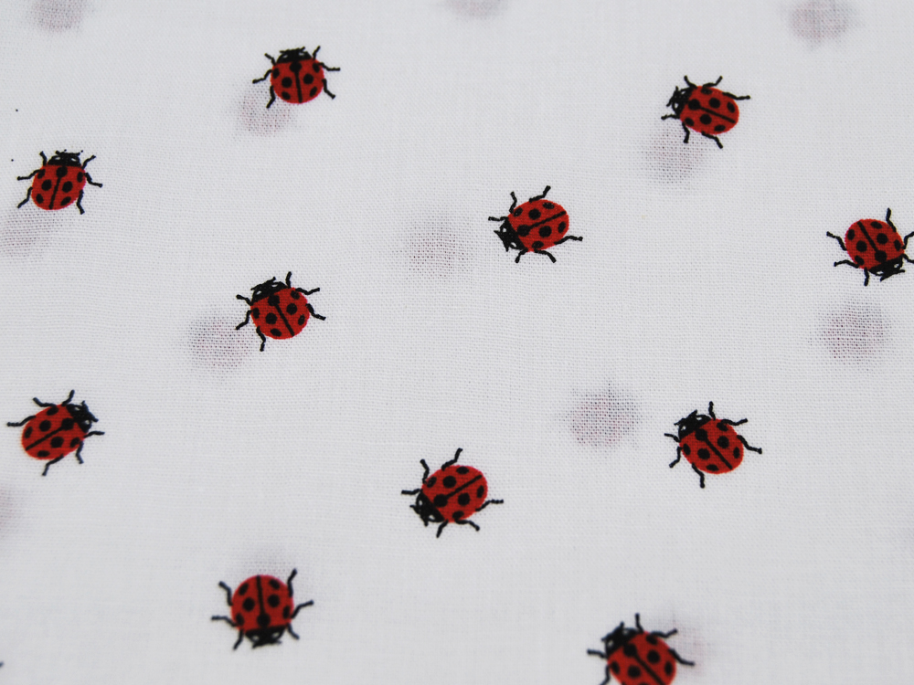 Mini Ladybug - Marienkäfer auf Weiß - Baumwolle 05 m 4