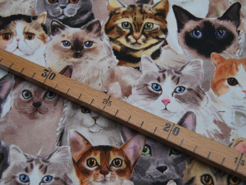 Dekostoff - Canvas Digital - Cats - Katzen 0,5m 2