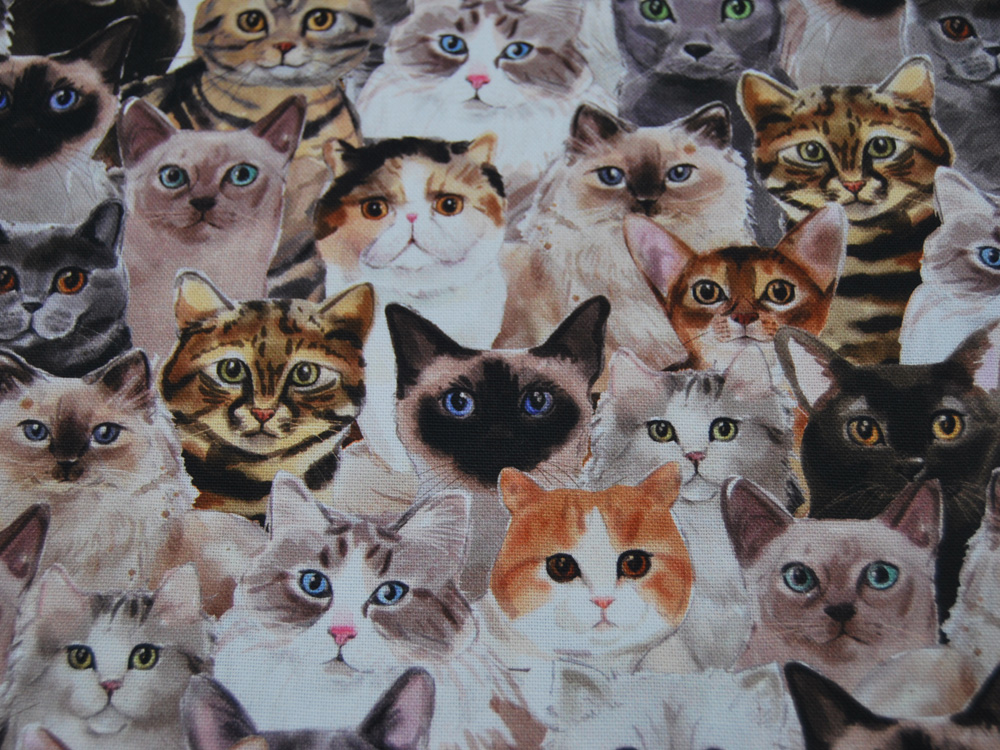 Dekostoff - Canvas Digital - Cats - Katzen 05m 3