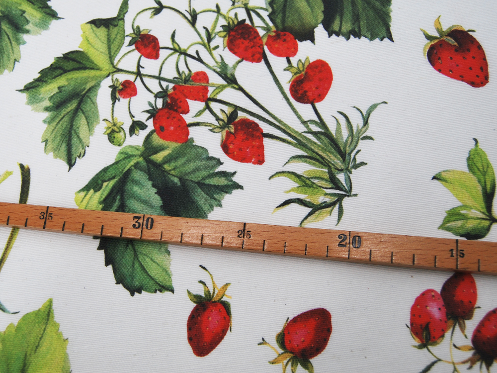 Beschichtete Baumwolle - Erdbeeren auf Weiß - 05 Meter 4