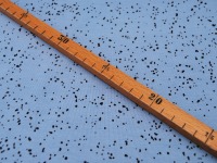 Jersey - Little Sprinkles - Spritzer auf Hellblau - 0,5m 3