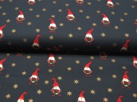 Baumwolle Popeline - Wichtel mit Geschenk - Weihnachtliche Motive auf Dunkelblau - 0.5m 2