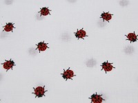 Mini Ladybug - Marienkäfer auf Weiß - Baumwolle 0,5 m 4