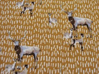 Dekostoff - Canvas - Deer Family auf Senf 0,5m 3