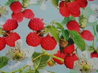Jersey - Raspberries - Himbeeren - DIGITAL 0,5 Meter 2