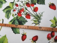 Beschichtete Baumwolle - Erdbeeren auf Weiß - 0,5 Meter 4