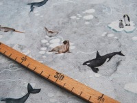 JERSEY - Winter Animals - Tiere am und im Meer auf Hellgrau 0.5m 3