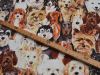 Dekostoff - Canvas Digital - Dogs Allover - Hunde 0,5m 3