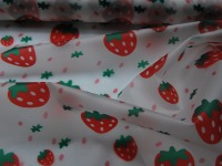 REGENJACKEN STOFF - Erdbeeren auf Transparent - 50 x 120 cm 3