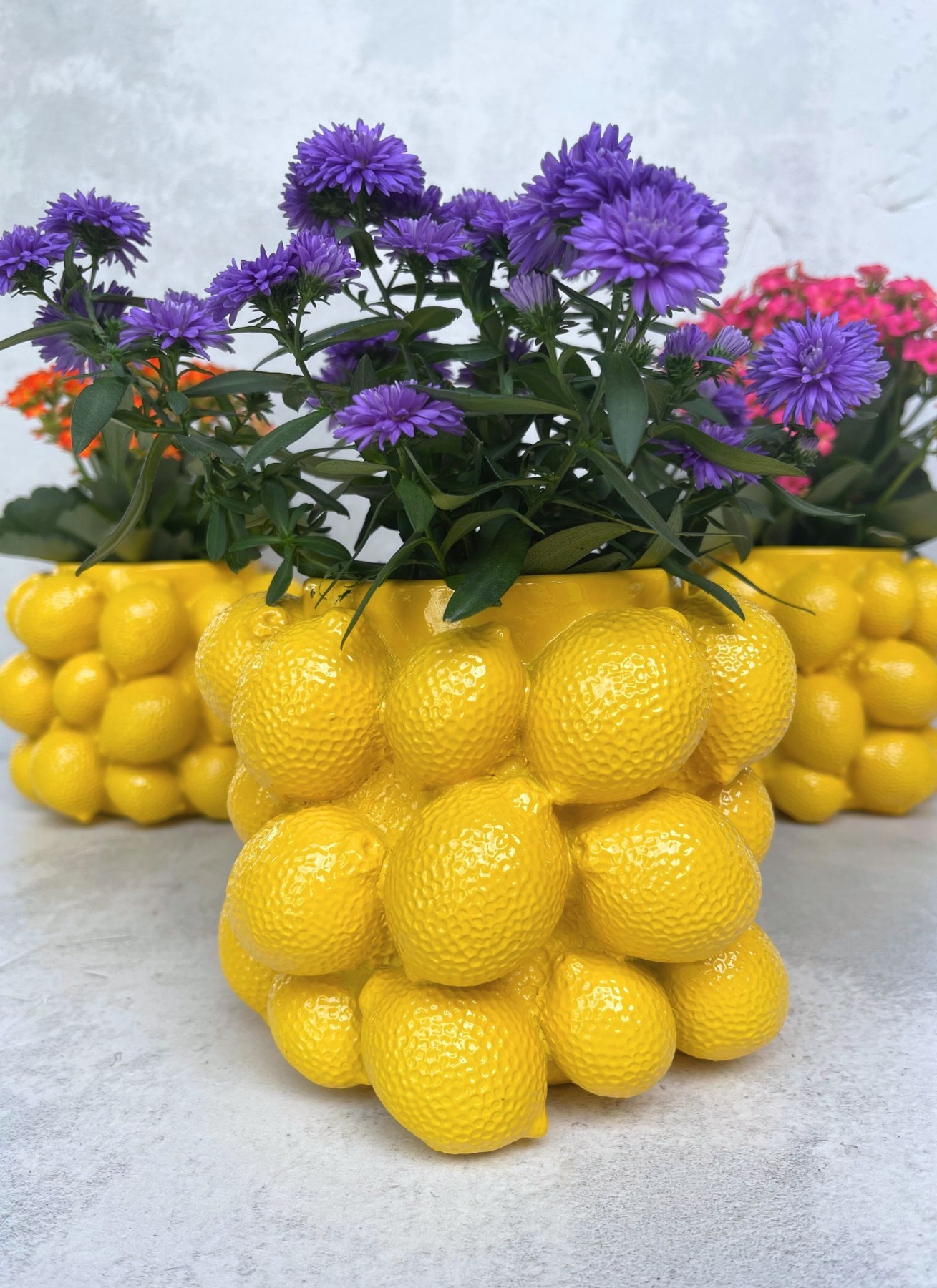 Blumentopf | Zitronen | Gelb | Vase